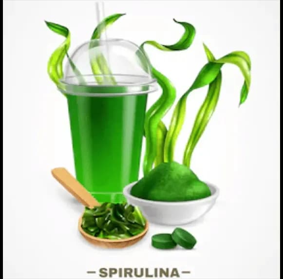 VediCana Spirulina Powder Thumbnail 4