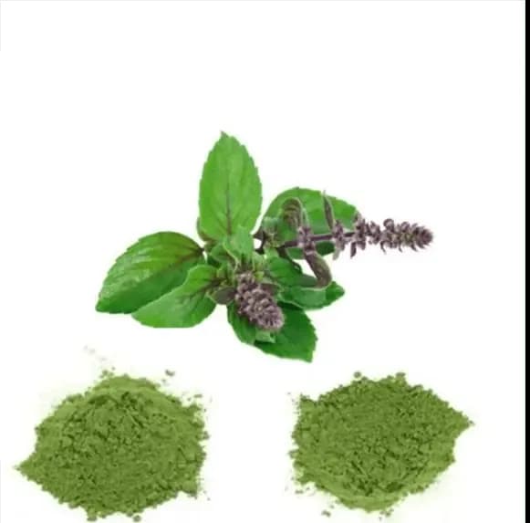VediCana Tulsi Powder Thumbnail 4