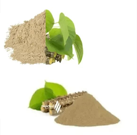 VediCana Giloy Powder
