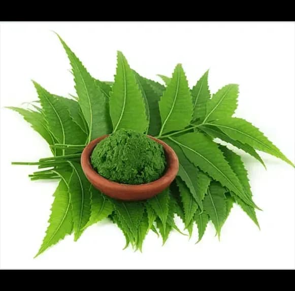 VediCana Neem Powder