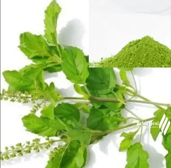 VediCana Tulsi Powder